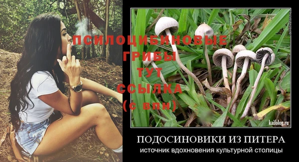 прущая мука Абаза
