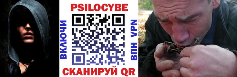 omg ONION  что такое   Иннополис  Галлюциногенные грибы Psilocybe 